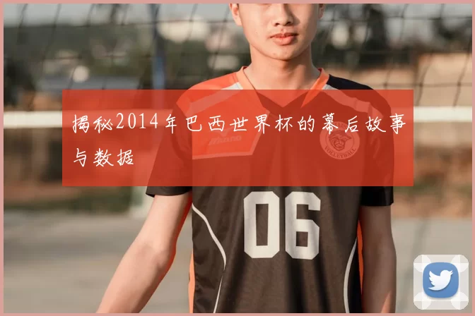 揭秘2014年巴西世界杯的幕后故事与数据