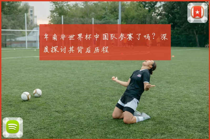 年南非世界杯中国队参赛了吗?深度探讨其背后历程
