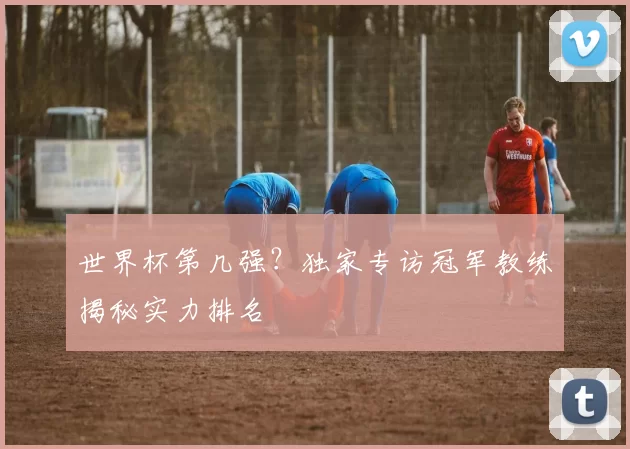 世界杯第几强?独家专访冠军教练揭秘实力排名