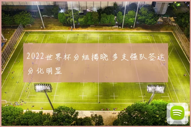 2022世界杯分组揭晓 多支强队签运分化明显