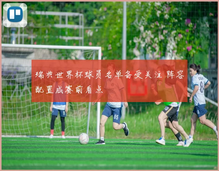 瑞典世界杯球员名单备受关注 阵容配置成赛前看点