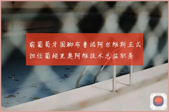 前葡萄牙国脚布鲁诺阿尔维斯正式担任葡超里奥阿维技术总监职务