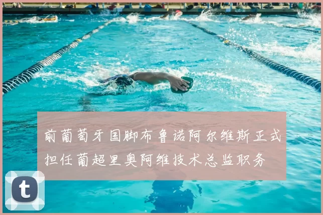 前葡萄牙国脚布鲁诺阿尔维斯正式担任葡超里奥阿维技术总监职务