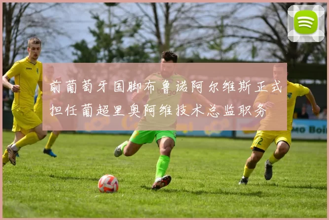 前葡萄牙国脚布鲁诺阿尔维斯正式担任葡超里奥阿维技术总监职务