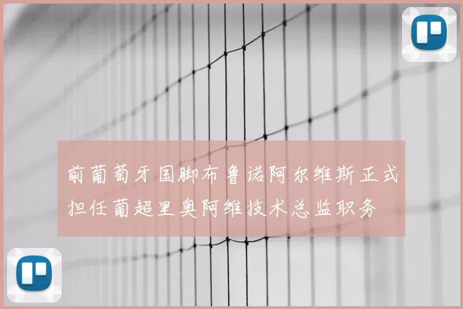 前葡萄牙国脚布鲁诺阿尔维斯正式担任葡超里奥阿维技术总监职务