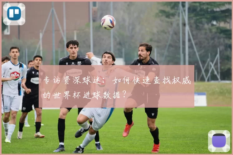 专访资深球迷：如何快速查找权威的世界杯进球数据？
