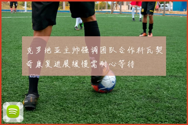 克罗地亚主帅强调团队合作科瓦契奇康复进展缓慢需耐心等待