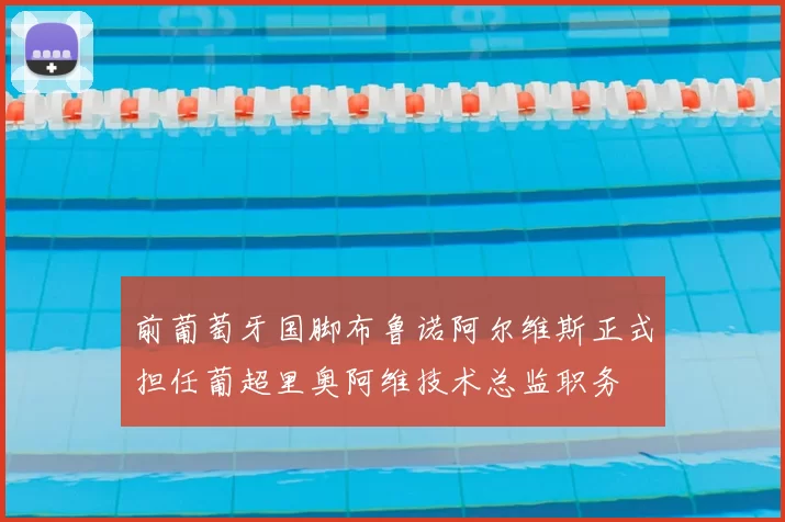 前葡萄牙国脚布鲁诺阿尔维斯正式担任葡超里奥阿维技术总监职务