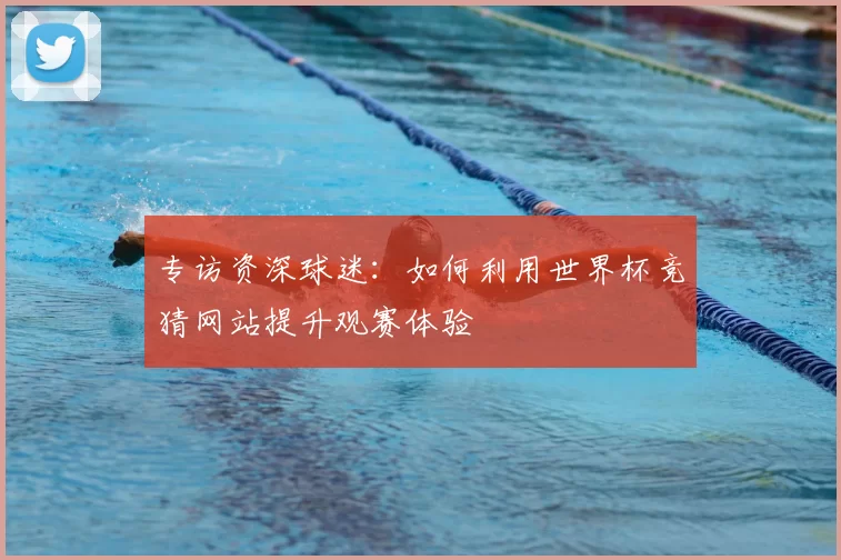专访资深球迷:如何利用世界杯竞猜网站提升观赛体验