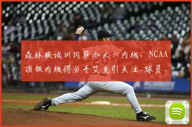 森林狼试训冈萨加大六内线,NCAA顶级内线得分手艾克引关注_球员_大学_防守