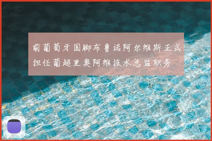 前葡萄牙国脚布鲁诺阿尔维斯正式担任葡超里奥阿维技术总监职务